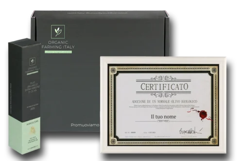 Geschenkpaket für Olivenbaum Patenschaft