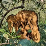 Olivenbaum Patenschaft Holzschild